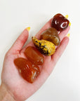 NATURAL CARNELIAN TUMBLE - 33 bday, Black Friday sale, career, carnelian, crystals for beginners, emotional support, end of year sale, fertility, holiday sale, joy gift bundle, Leo szn, natural carnelian, new year sale, pocket crystal, pocket stone, spring things, tumble, untreated carnelian - The Mineral Maven
