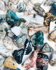 OCEAN JASPER TUMBLE - 33 bday, Black Friday sale, bulk, cancer season, emotional support, end of year sale, flash sale, holiday sale, jasper, new year sale, ocean jasper, pocket crystal, spring equinox, tumble, tumbled, tumbles - The Mineral Maven