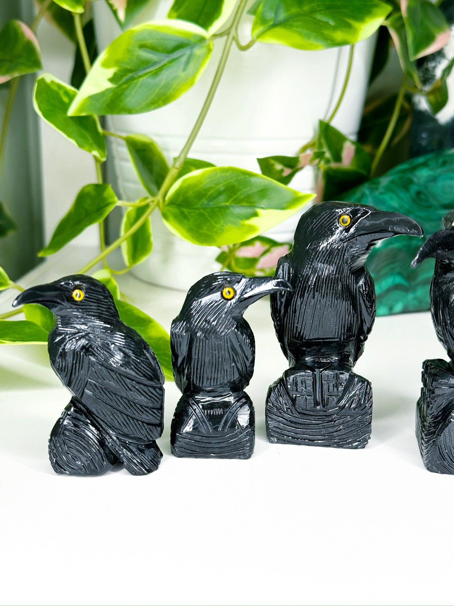 ONYX RAVEN - black onyx, crow, crystal critter, new critter drop, onyx, polished, polished stone, raven - The Mineral Maven