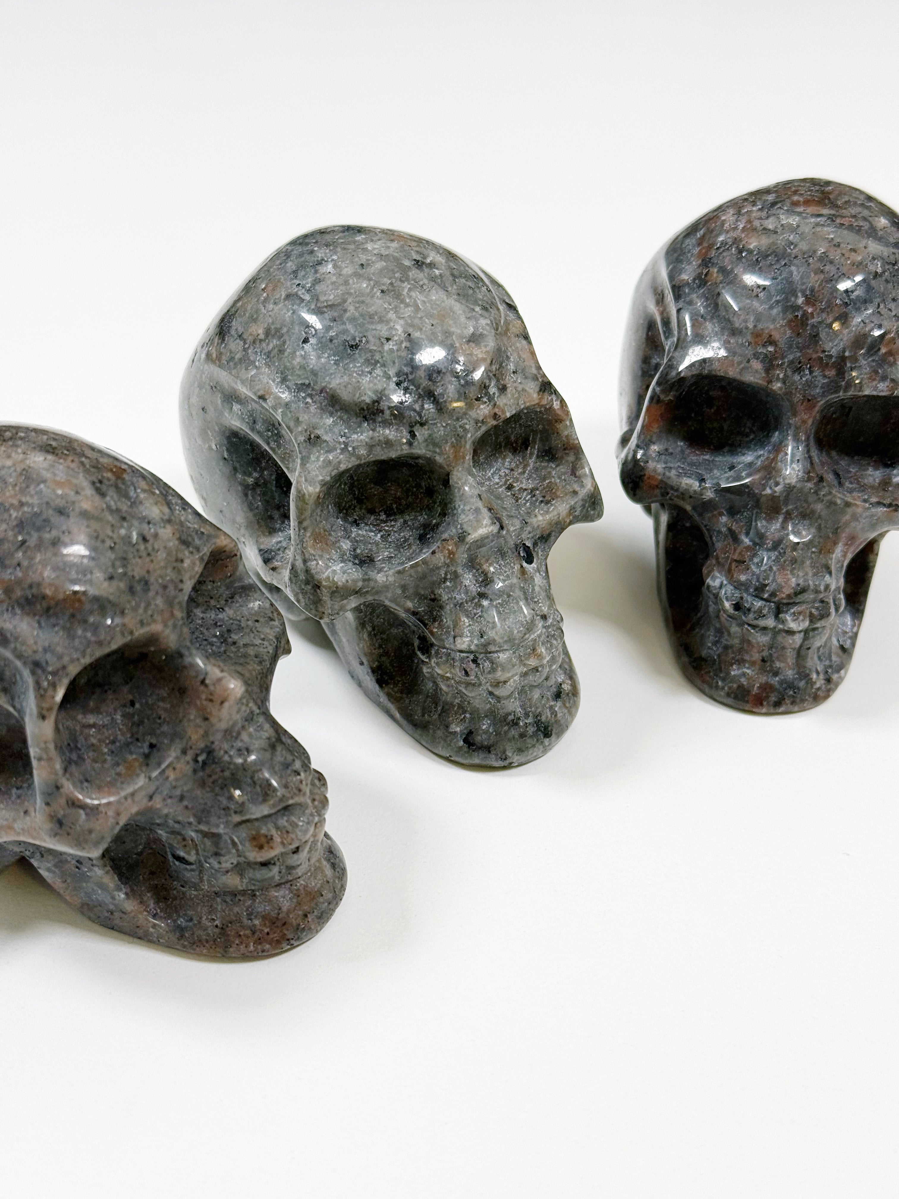 PICK YOUR OWN: "FIRELITE" SKULL - emberlite, firelite, lake superior, polished, polished stone, skull, statement piece, summerween collection, uv fluorescent, yooperlite - The Mineral Maven