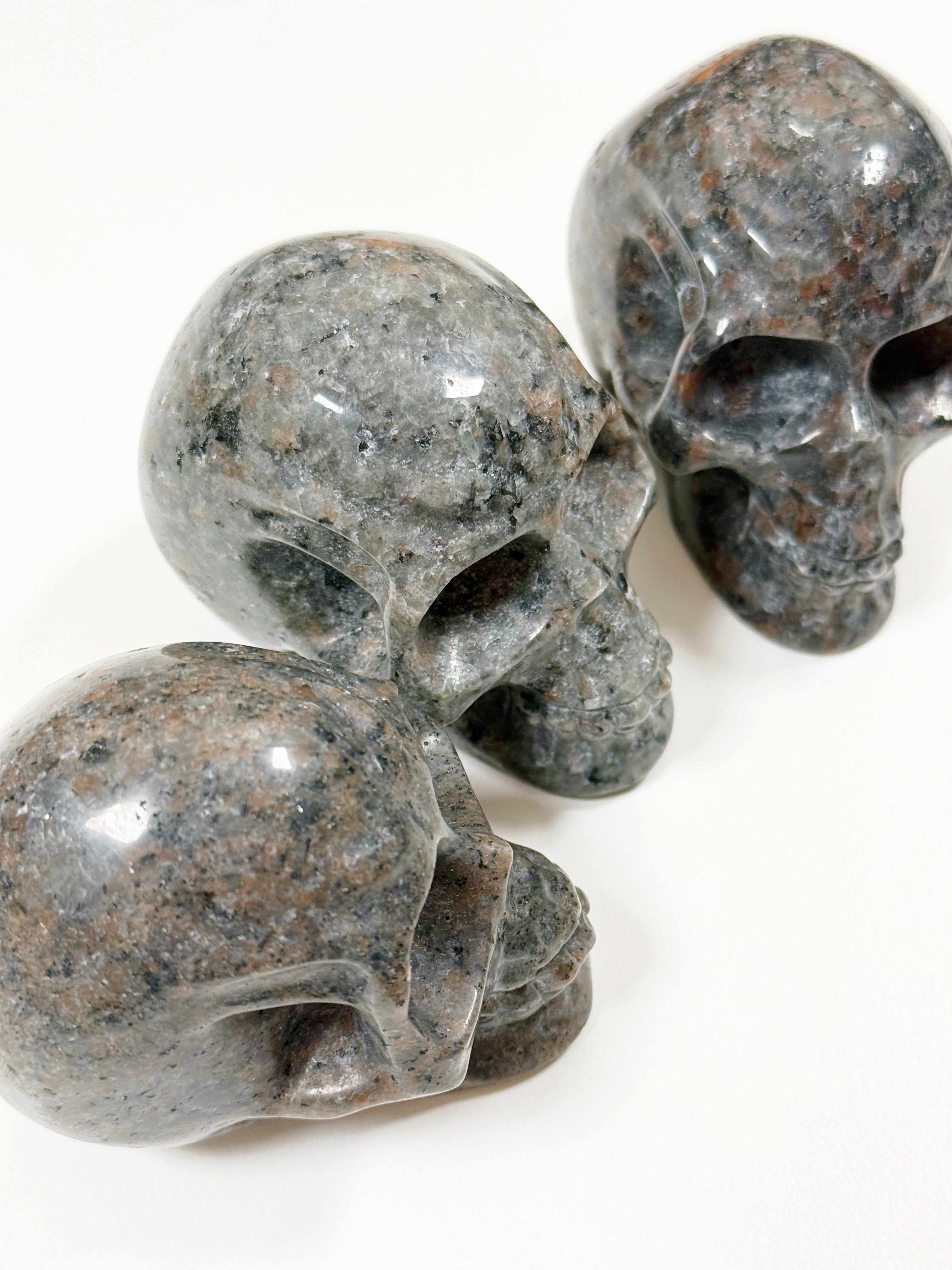 PICK YOUR OWN: "FIRELITE" SKULL - emberlite, firelite, lake superior, polished, polished stone, skull, statement piece, summerween collection, uv fluorescent, yooperlite - The Mineral Maven