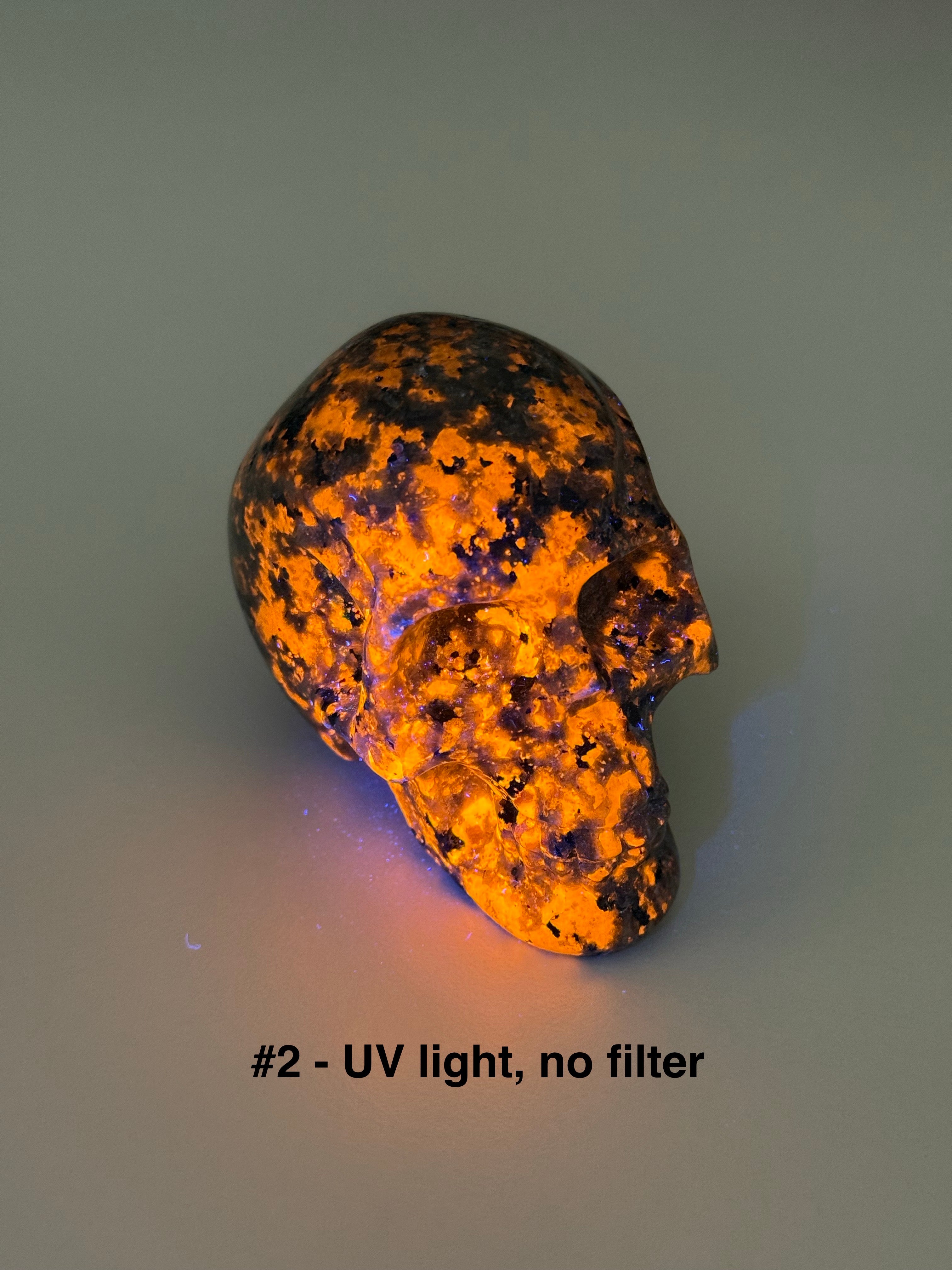 PICK YOUR OWN: &quot;FIRELITE&quot; SKULL - emberlite, firelite, lake superior, polished, polished stone, skull, statement piece, summerween collection, uv fluorescent, yooperlite - The Mineral Maven