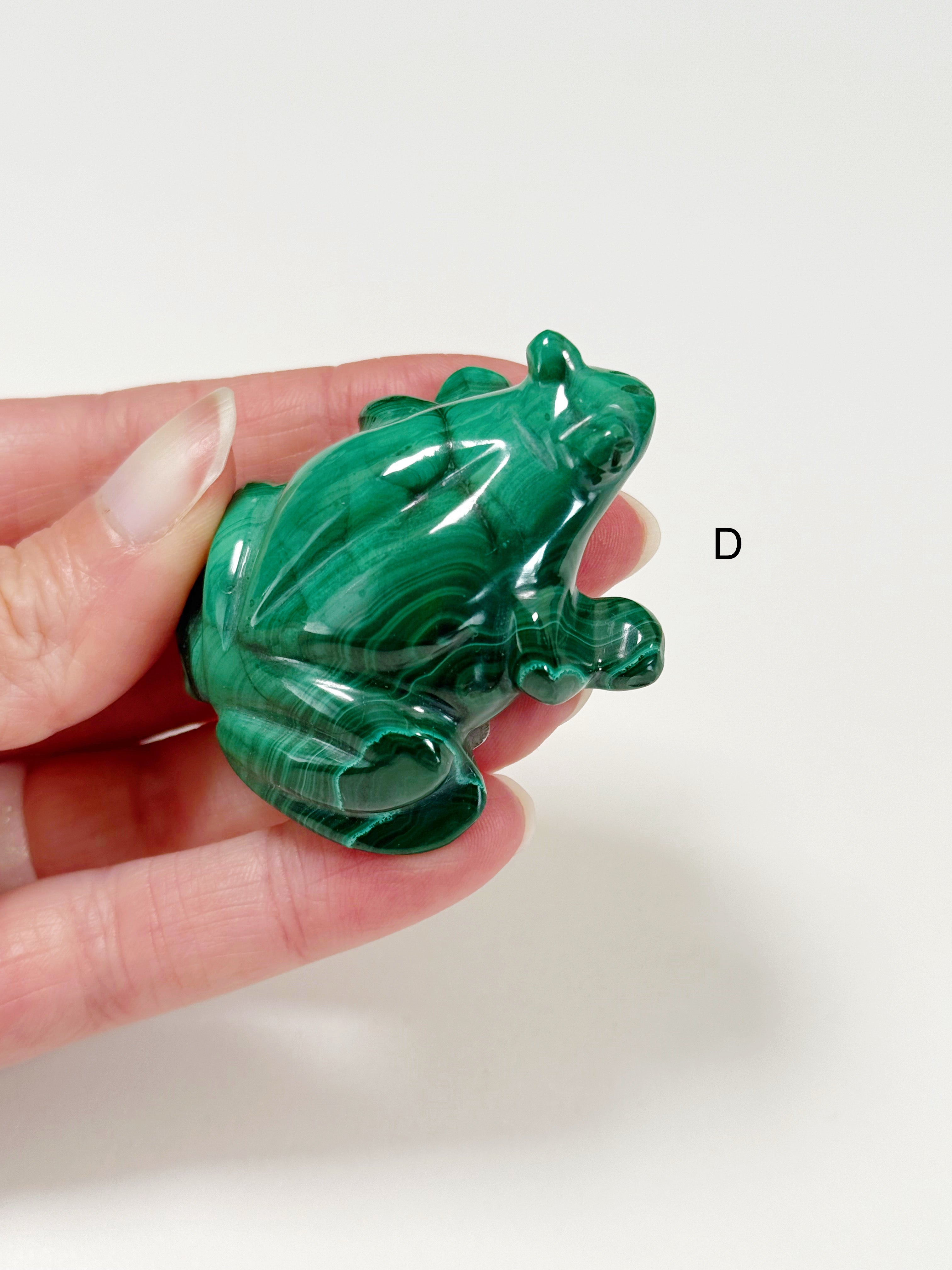 PICK YOUR OWN: MALACHITE FROG - 6th anniversary, crystal critter, crystal frog, frog, malachite, medium frog, polished, polished stone - The Mineral Maven