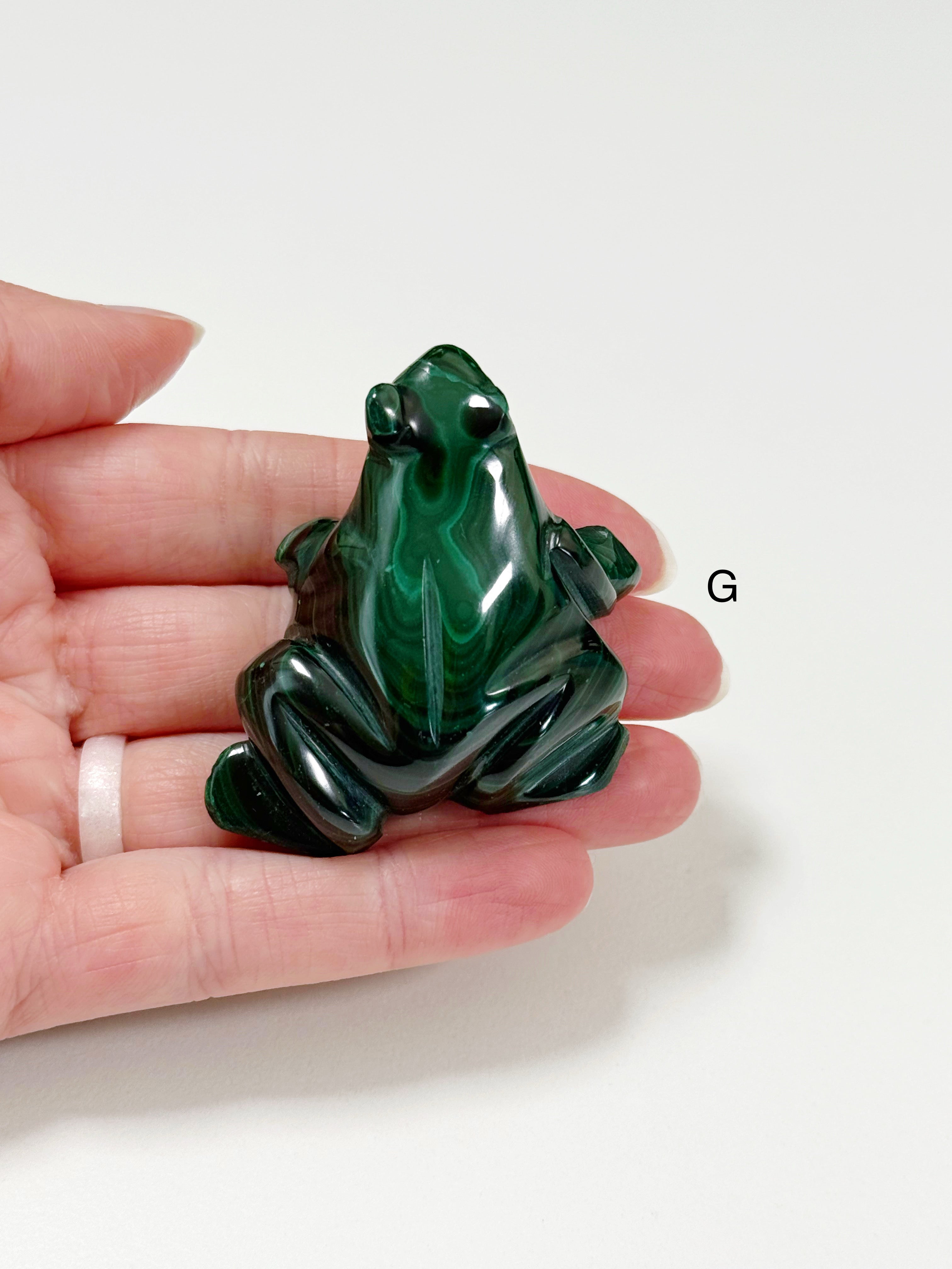 PICK YOUR OWN: MALACHITE FROG - 6th anniversary, crystal critter, crystal frog, frog, malachite, medium frog, polished, polished stone - The Mineral Maven