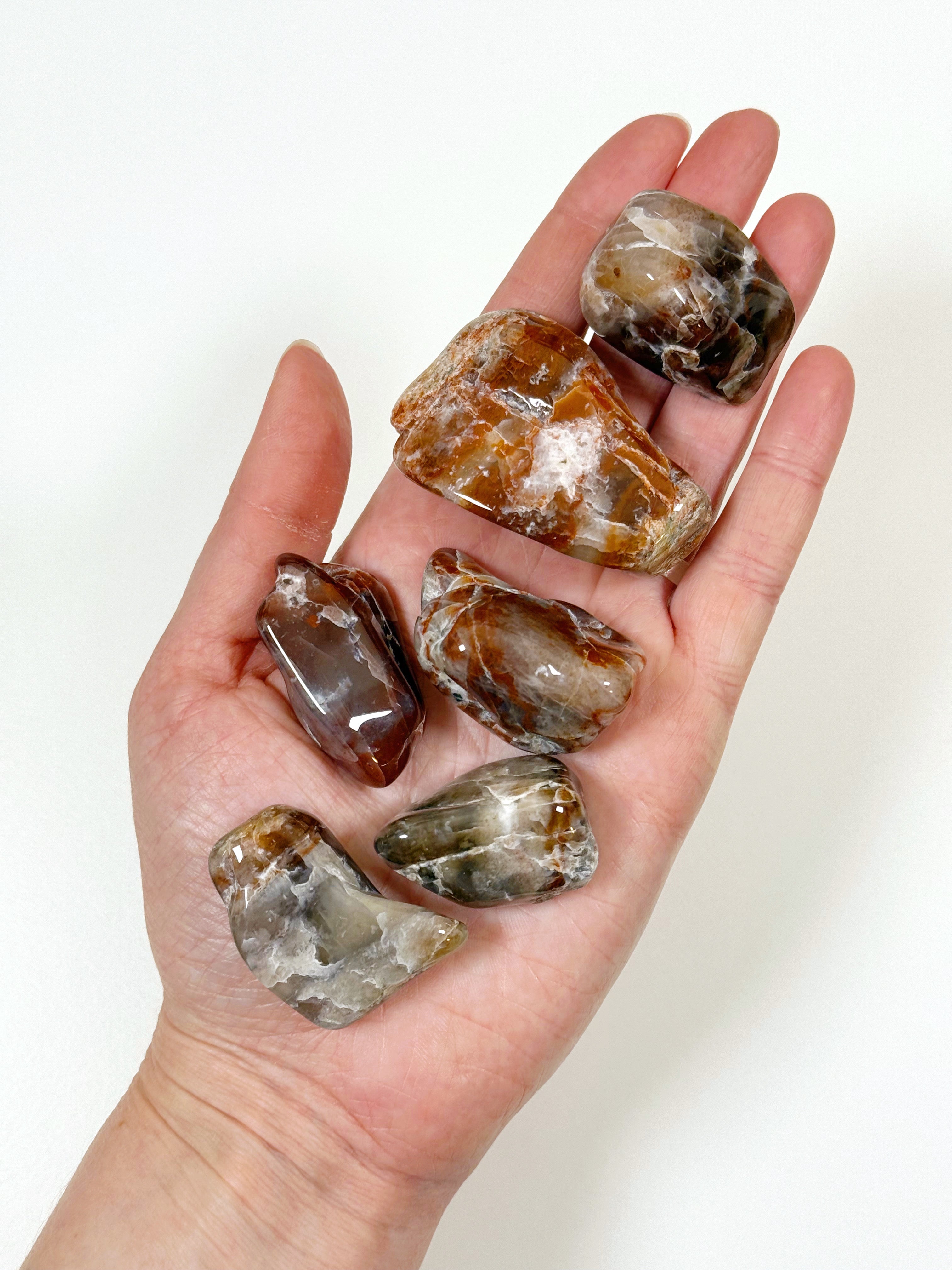 PIGEON BLOOD AGATE TUMBLE - agate, pigeon blood agate, pocket crystal, pocket crystals, pocket stone, recently added, tumble, tumbled stone, tumbles - The Mineral Maven