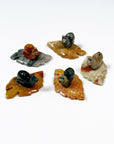 SOAPSTONE CRITTERS (SMALL) - alligator, bear, bird, camel, cat, cobra, coyote, critter, crystal critter, dog, elephant, frog, frog on leaf, hog, horned lizard, horny toad, horse, iguana, lion, new critter drop, pelican, pig, roadrunner, snail, snake, soapstone, tortoise, turtle - The Mineral Maven