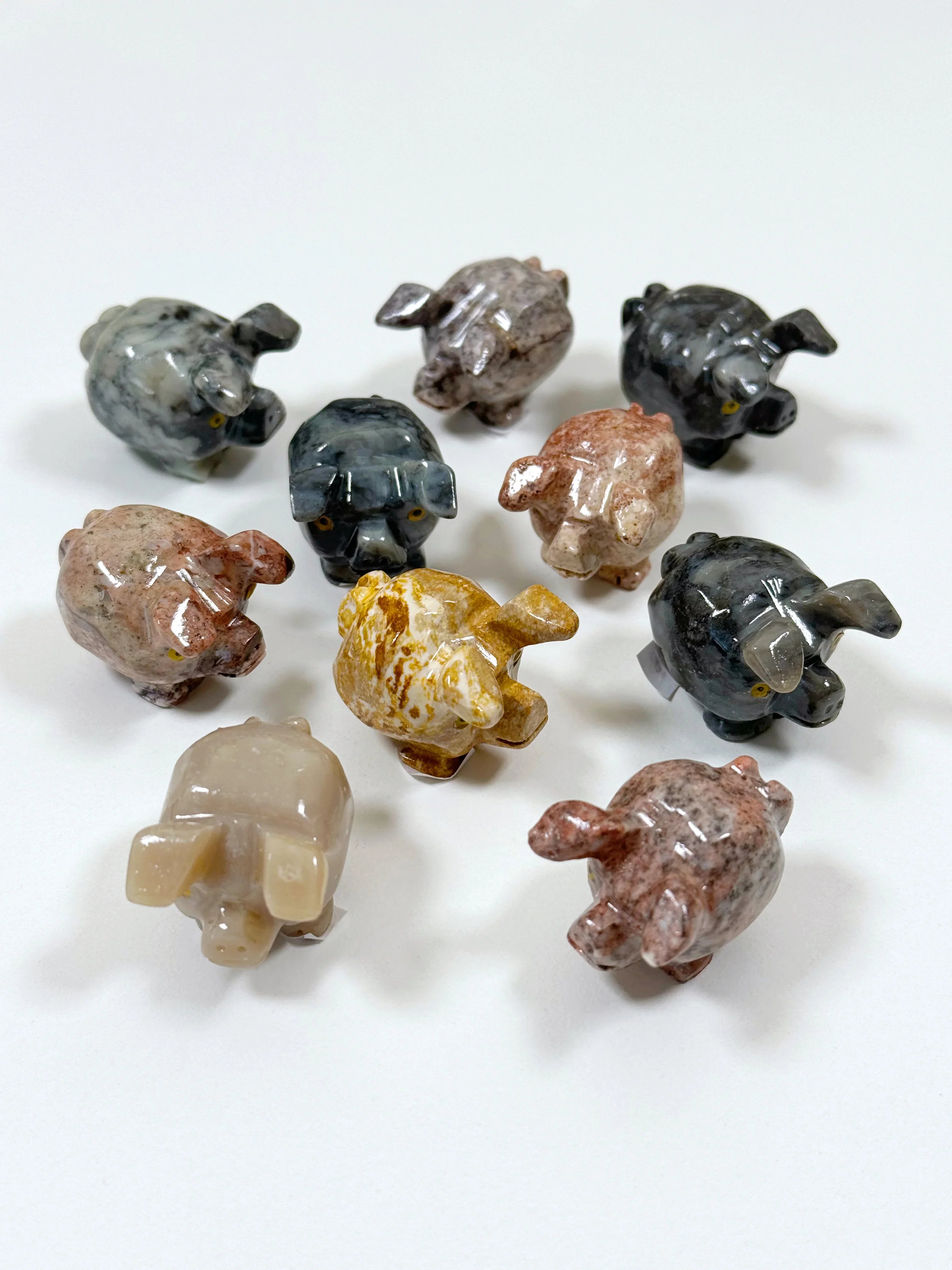 SOAPSTONE CRITTERS (SMALL) - alligator, bear, bird, camel, cat, cobra, coyote, critter, crystal critter, dog, elephant, frog, frog on leaf, hog, horned lizard, horny toad, horse, iguana, lion, new critter drop, pelican, pig, roadrunner, snail, snake, soapstone, tortoise, turtle - The Mineral Maven