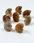 SOAPSTONE CRITTERS (SMALL) - alligator, bear, bird, camel, cat, cobra, coyote, critter, crystal critter, dog, elephant, frog, frog on leaf, hog, horned lizard, horny toad, horse, iguana, lion, new critter drop, pelican, pig, roadrunner, snail, snake, soapstone, tortoise, turtle - The Mineral Maven