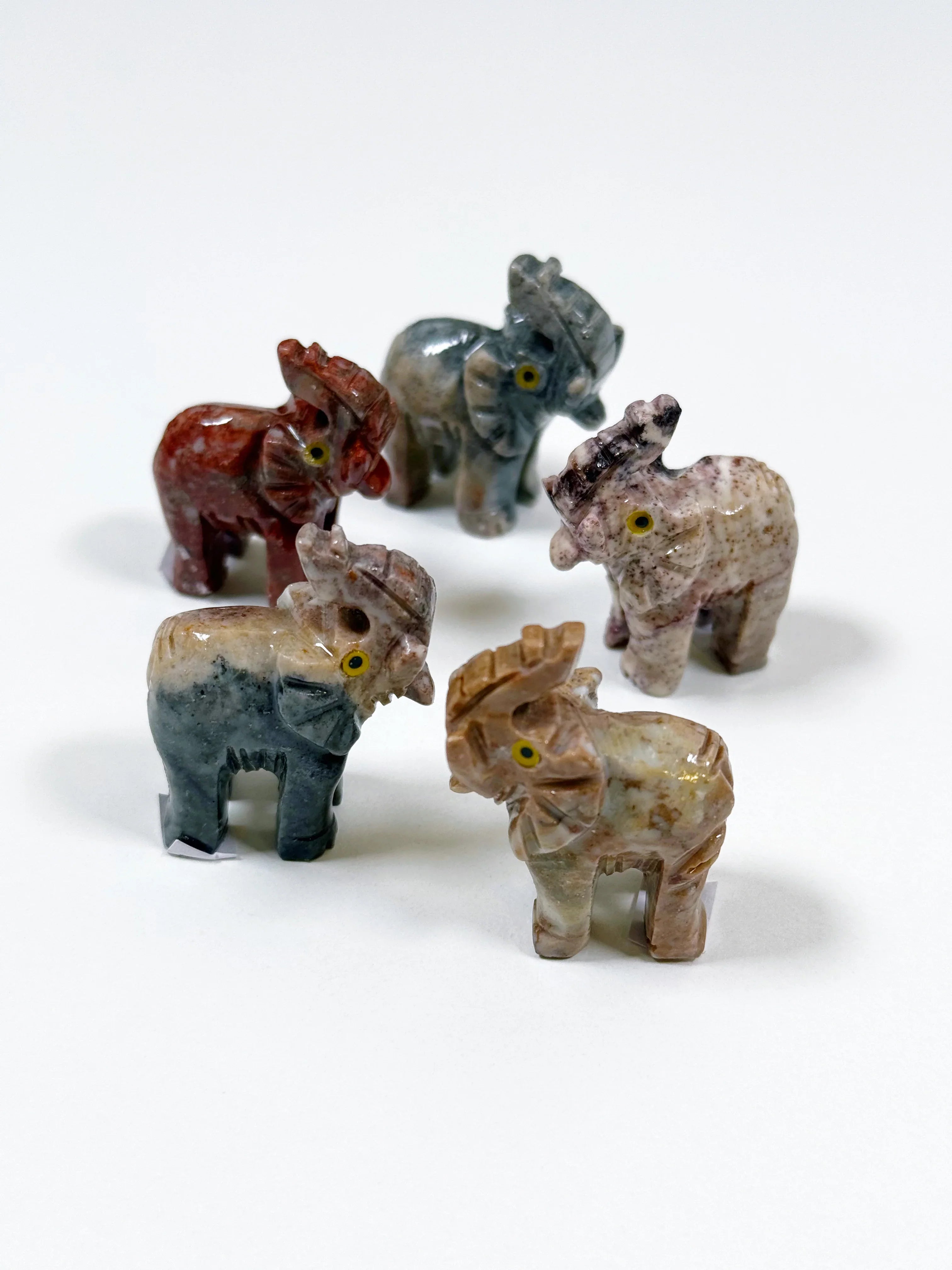 SOAPSTONE CRITTERS (SMALL) - alligator, bear, bird, camel, cat, cobra, coyote, critter, crystal critter, dog, elephant, frog, frog on leaf, hog, horned lizard, horny toad, horse, iguana, lion, new critter drop, pelican, pig, roadrunner, snail, snake, soapstone, tortoise, turtle - The Mineral Maven