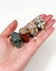 SOAPSTONE SKULL (SMALL) - Black Friday sale, new critter drop, polished, polished stone, skull, soapstone - The Mineral Maven