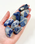SODALITE TUMBLE - pocket crystal, pocket stone, sodalite, summerween collection, tumble - The Mineral Maven