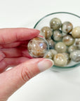 SUNSTONE MOONSTONE MINI SPHERE - 6th anniversary, Arusha sunstone, mini sphere, moonstone, pocket crystal, pocket crystals, pocket stone, polished, polished stone, sphere, sunstone, sunstone moonstone, Tanzanian sunstone - The Mineral Maven
