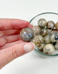 SUNSTONE MOONSTONE MINI SPHERE - 6th anniversary, Arusha sunstone, mini sphere, moonstone, pocket crystal, pocket crystals, pocket stone, polished, polished stone, sphere, sunstone, sunstone moonstone, Tanzanian sunstone - The Mineral Maven
