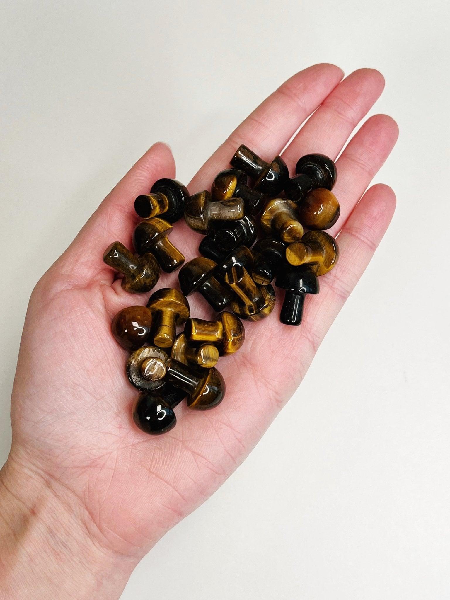 TIGER'S EYE MINI MUSHROOM - 33 bday, 444 sale, Black Friday sale, career, crystal mushroom, crystals for beginners, end of year sale, focus gift bundle, good luck + abundance, holiday sale, Leo szn, mini mushroom, mushroom, new year sale, pocket crystal, pocket stone, polished, spring equinox, tigers eye, update - The Mineral Maven