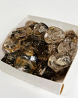 WINDOW QUARTZ - RAW - 2025 vibes, 33 bday, 444 sale, Black Friday sale, focus gift bundle, herkimer, holiday sale, new year sale, pakimer, protection gift bundle, quartz, raw crystal, raw stone, rough crystal, Rough Stone, transform gift bundle, window quartz - The Mineral Maven