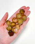 ZAMBIAN CITRINE COIN (POLISHED) - 2025 vibes, Black Friday sale, career, citrine, citrine coin, citrine point, crystals for beginners, good luck + abundance, Leo szn, natural citrine, pocket crystal, pocket crystals, pocket stone, smoky citrine, winter solstice, zambian citrine - The Mineral Maven